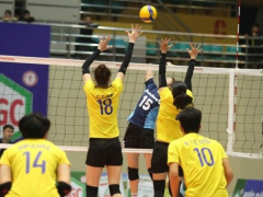 Ảnh bìa bài viết 923137