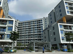 Ảnh bìa bài viết 923091