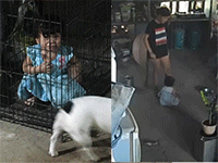 Ảnh bìa bài viết 923320
