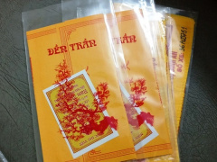 Ảnh bìa bài viết 923273