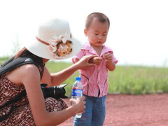 Ảnh bìa bài viết 923394