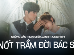 Ảnh bìa bài viết 923422