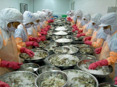 Ảnh bìa bài viết 923417