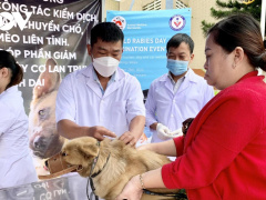 Ảnh bìa bài viết 923464