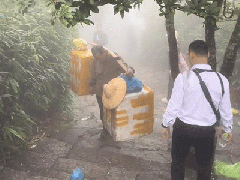 Ảnh bìa bài viết 923610