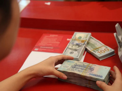 Ảnh bìa bài viết 923585