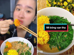 Ảnh bìa bài viết 923618