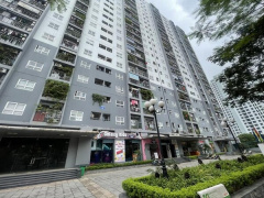 Ảnh bìa bài viết 923666