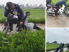 Ảnh bìa bài viết 923778
