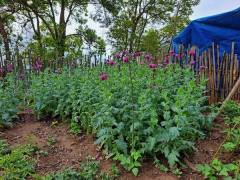 Ảnh bìa bài viết 923775