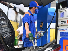 Ảnh bìa bài viết 923899