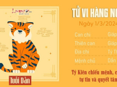 Ảnh bìa bài viết 924168