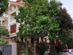 Ảnh bìa bài viết 924689