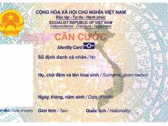 Ảnh bìa bài viết 924886