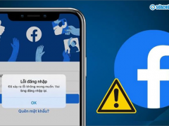 Ảnh bìa bài viết 925017