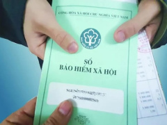 Ảnh bìa bài viết 925384