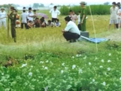Ảnh bìa bài viết 925530