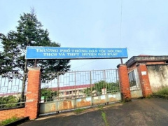 Ảnh bìa bài viết 925613