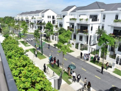 Ảnh bìa bài viết 925836
