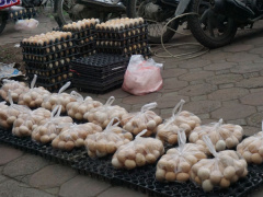 Ảnh bìa bài viết 926505