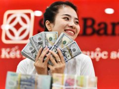 Ảnh bìa bài viết 926676