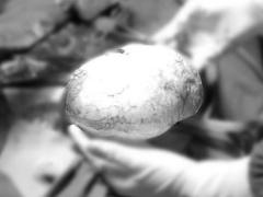 Ảnh bìa bài viết 926786