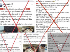 Ảnh bìa bài viết 927108