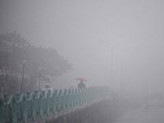 Ảnh bìa bài viết 927116