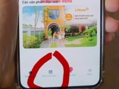 Ảnh bìa bài viết 927288