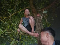 Ảnh bìa bài viết 927286