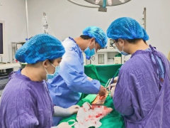 Ảnh bìa bài viết 927332