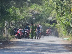 Ảnh bìa bài viết 927486