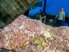 Ảnh bìa bài viết 927689