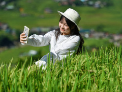 Ảnh bìa bài viết 927718