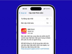 Ảnh bìa bài viết 927914