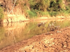 Ảnh bìa bài viết 928100