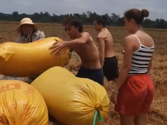 Ảnh bìa bài viết 928451