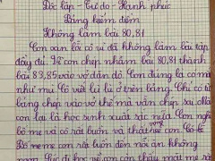 Ảnh bìa bài viết 928716