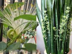 Ảnh bìa bài viết 928925