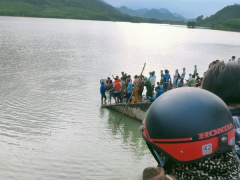 Ảnh bìa bài viết 929078