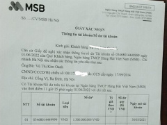 Ảnh bìa bài viết 929125