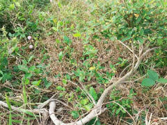 Ảnh bìa bài viết 929254