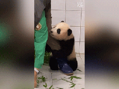 Ảnh bìa bài viết 929820