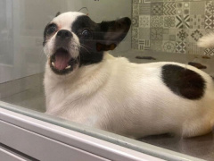 Ảnh bìa bài viết 929945