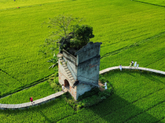 Ảnh bìa bài viết 930218