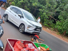Ảnh bìa bài viết 930581