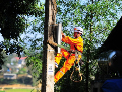 Ảnh bìa bài viết 930734