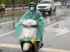 Ảnh bìa bài viết 930656