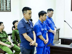 Ảnh bìa bài viết 931289