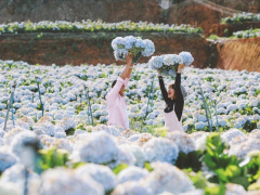 Ảnh bìa bài viết 931461